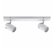 Спот Paulmann Zyli 66711