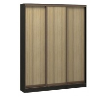 Шкаф-купе Адриано-3 2000x624x2200 мм