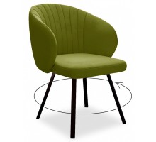 Стул DikLine 258