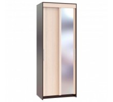 Шкаф-купе ШР-96.1