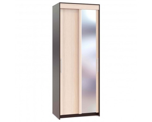 Шкаф-купе ШР-96.1