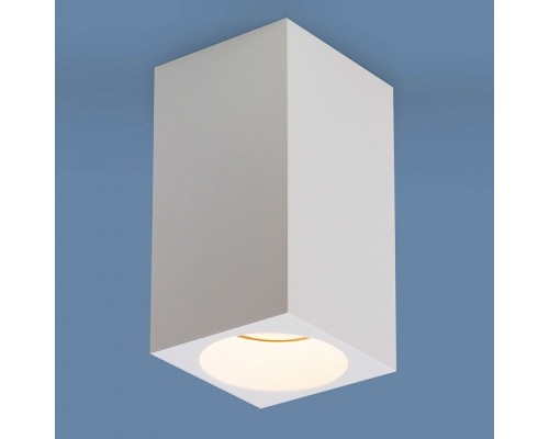 Накладной светильник Elektrostandard 1085 a040989