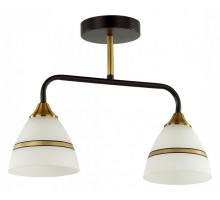 Светильник на штанге Lumion Nettie 5214/2CA