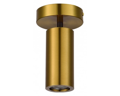 Светильник на штанге ST-Luce Talia 