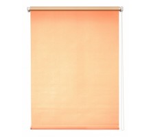 Штора рулонная (100x175 см) Плайн