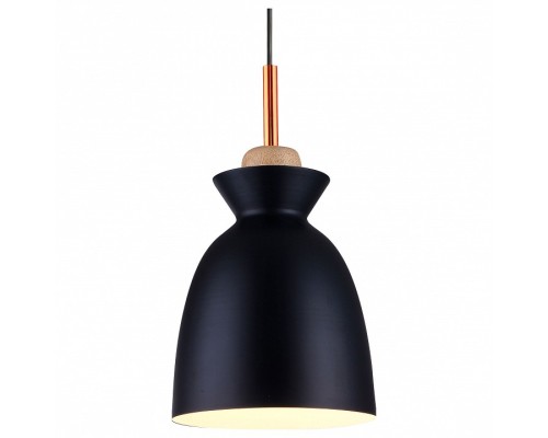 Подвесной светильник TopLight Marylou TL1202H-01BK