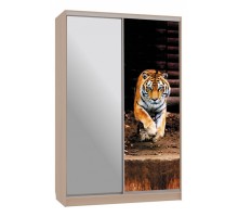 Шкаф-купе Гранд 9-600 87