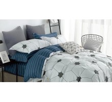 Постельное белье полутораспальное №301 Champion