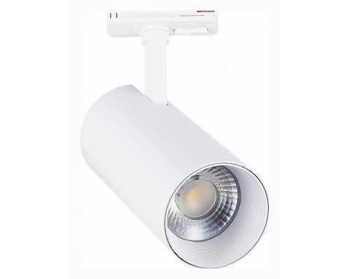 Светильник на штанге ST-Luce Mono