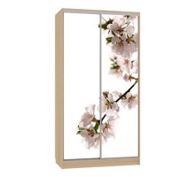 Шкаф-купе Рио 7-600 яблоня