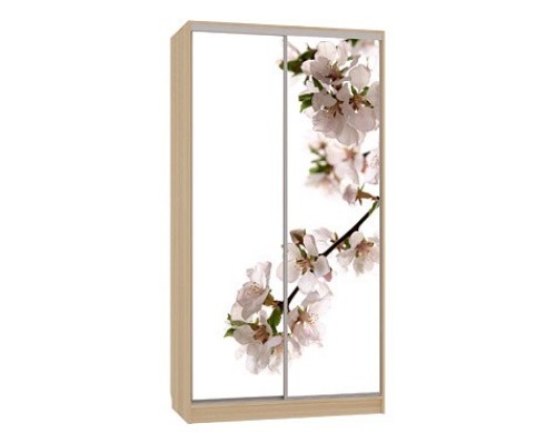 Шкаф-купе Рио 7-600 яблоня