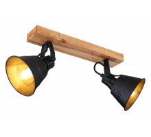 Спот Globo Günther 15466S-2