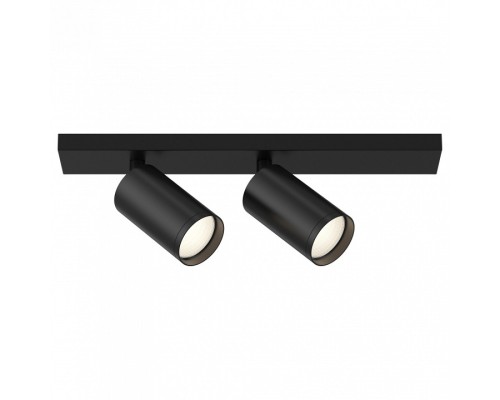 Светильник на штанге Maytoni Focus 1 C051CL-2B