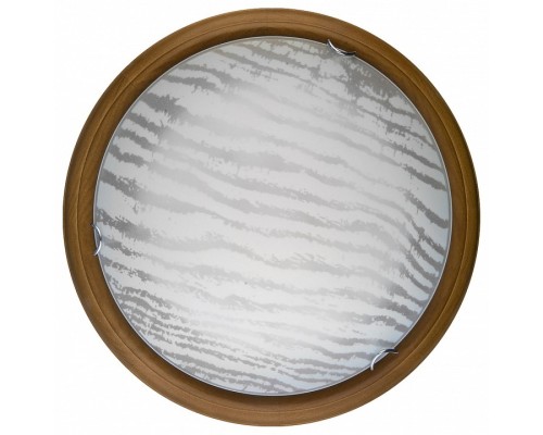 Накладной светильник TopLight Calista TL9490Y-00OA