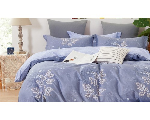 Постельное белье двуспальное Satin de Luxe 791-SK