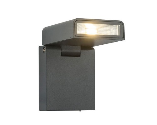 Светильник на штанге Globo Sparrow 34310