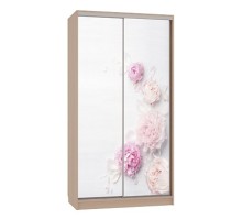 Шкаф-купе Рио 7-600 17