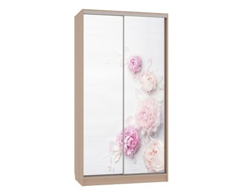 Шкаф-купе Рио 7-600 17