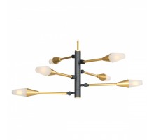 Подвесная люстра Favourite Incognita 2565-6P