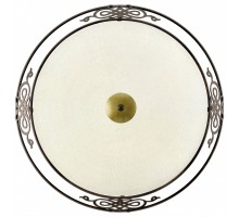 Накладной светильник Eglo ПРОМО Mestre 86713