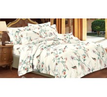 Постельное белье евростандарт Art Color Амантея