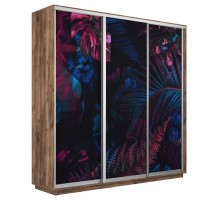 Шкаф-купе Экспресс Фото трио 1004 2400x600x2400