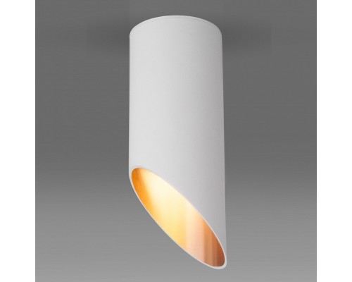 Накладной светильник Elektrostandard DLN115 a050119