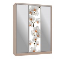 Шкаф-купе Бассо 9-600 83