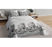 Постельное белье полутораспальное Серые британцы