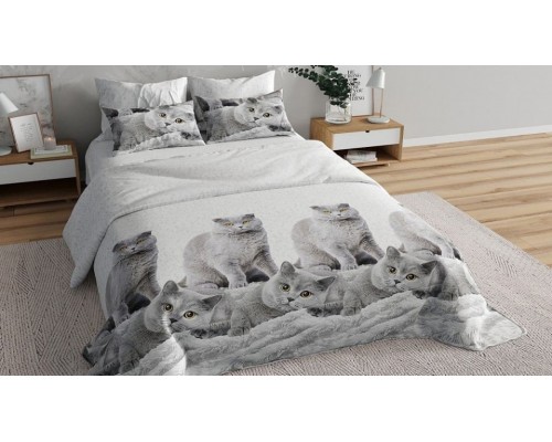 Постельное белье полутораспальное Серые британцы