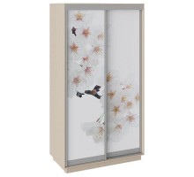 Шкаф-купе Румер