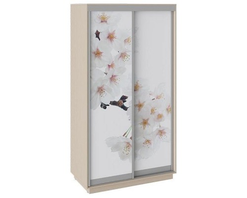 Шкаф-купе Румер