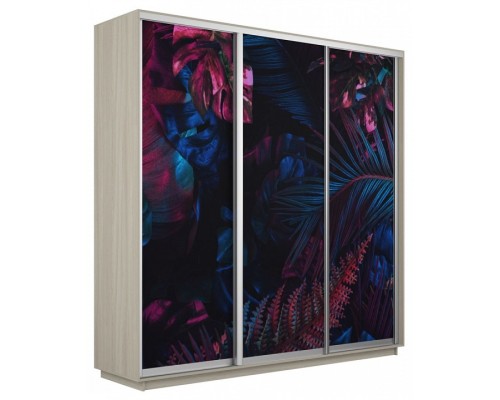 Шкаф-купе Экспресс Фото трио 1004 2400x600x2200