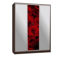 Шкаф-купе Бассо 9-600 89