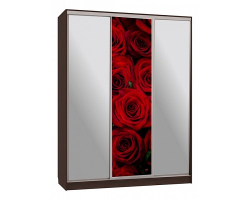 Шкаф-купе Бассо 9-600 89