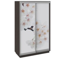 Шкаф-купе Румер