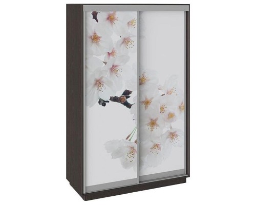 Шкаф-купе Румер