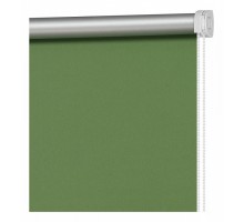 Штора рулонная (90x160 см) Травяной Зеленый