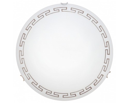 Накладной светильник Arte Lamp Antica A4220PL-2CC