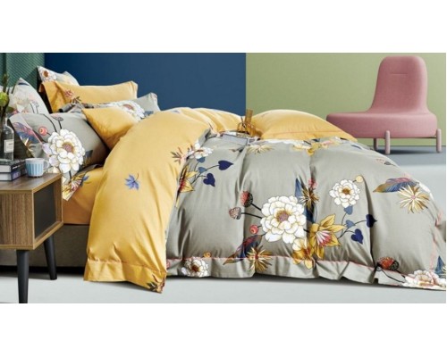 Постельное белье евростандарт RS-306