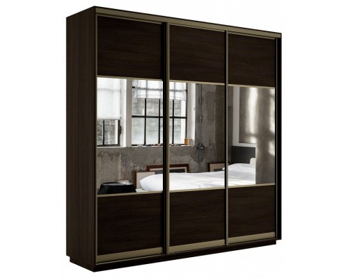 Шкаф-купе Экспресс Комби трио