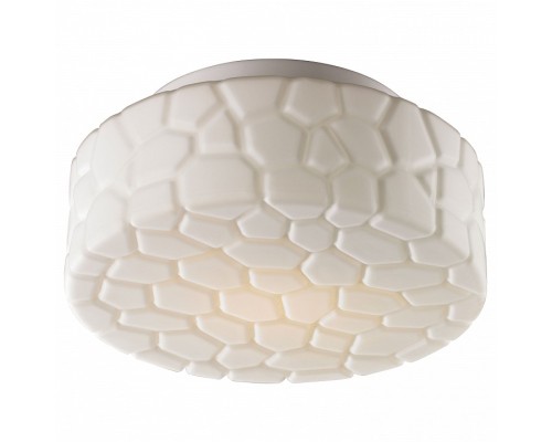 Накладной светильник Arte Lamp Aqua A5320PL-1WH