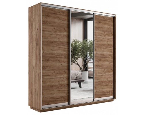 Шкаф-купе Экспресс Медиум Трио