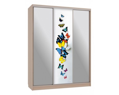 Шкаф-купе Бассо 9-600 88