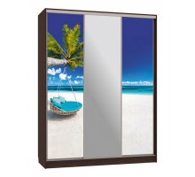 Шкаф-купе Бассо 10-600 77