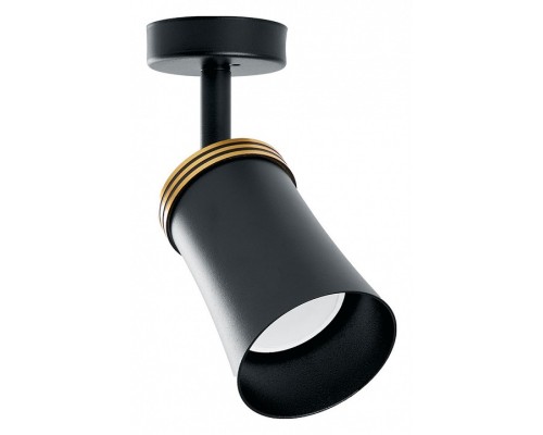 Спот Feron Barre 41481