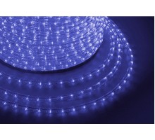 Шнур световой [100 м] LED TWINKLE 2W-100 121-253