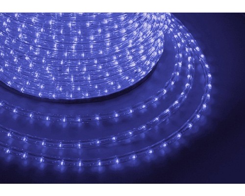 Шнур световой [100 м] LED TWINKLE 2W-100 121-253