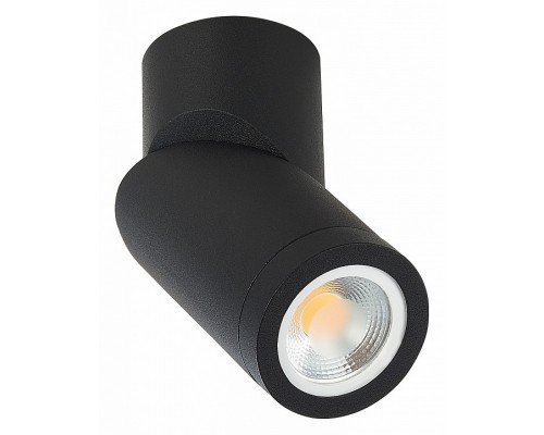 Светильник на штанге ST-Luce ST650 