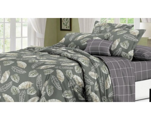 Постельное белье евростандарт C-432